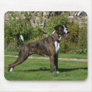 Search for boxer dogs mousepads Brindle