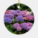 Search for photograph ornaments Garden