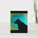 Search for losing a pet Rainbow bridge