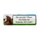 Search for horses return address labels Cute