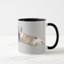 Search for bulldog puppy mugs Frenchie