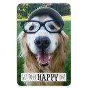 Recherche de du chien magnets Mignon