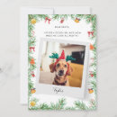 Search for naughty or nice christmas cards Animal