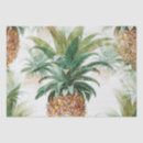 Search for fruit tissue paper Tropical