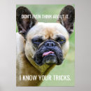 Search for know posters Funny