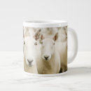 Search for herd mugs Livestock