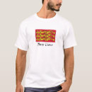 Search for england three lions tshirts British