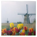 Recherche de moulin vent carreaux Traditionnel