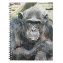 Search for chimpanzees notebooks Primates