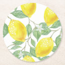 Search for cute coasters Summer