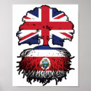 Search for rican flag posters Costa rica