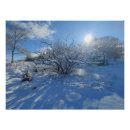 Search for artist posters Photography