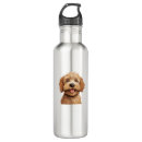 Search for pug water bottles Weimaraner