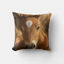 Recherche de écurie de cheval coussins Pour tous