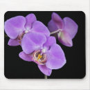 Recherche de bourgeon tapis souris Noir