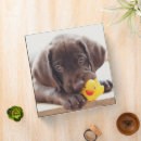 Search for chocolate lab binders Cute