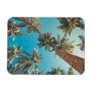 Recherche de palmiers tropicaux magnets Vacances