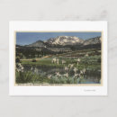 Recherche de mamouth cartes postales États