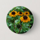 Search for flower blossom buttons Photography