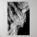 Search for tree bark art Outdoors