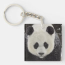 Search for giant square keychains Smithsonian