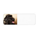 Search for labradoodle return address labels Pet