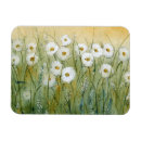 Recherche de marguerites magnets Floral