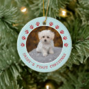Recherche de photo pet memorial ornaments Animaux de compagnie