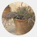Search for courtyard stickers Italy