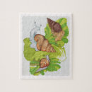 Search for lettuce puzzles Garden
