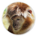 Recherche de singe boutons et poignées de porte Animal