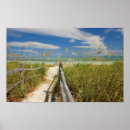 Search for sea oat art Nature