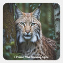 Search for lynx stickers Big cats