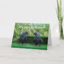 Search for macaw birthday cards Pets