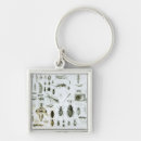 Search for entomology keychains Bugs