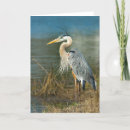 Search for blue pond cards Nature