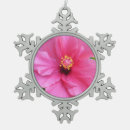 Search for hibiscus ornaments Photography