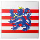 Search for belgian tiles Brugge