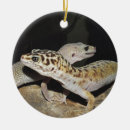 Search for leopard ornaments gecko