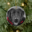 Search for black labrador ornaments Puppy