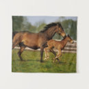 Search for galloping mare Thoroughbred