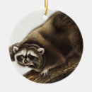 Search for raccoon ornaments Vintage