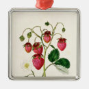 Search for engraved ornaments Private