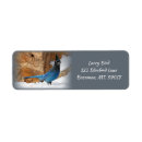 Search for blue jay address mailing accessories Nature