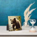 Recherche de ours plaques Faune