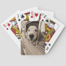 Recherche de regardant Chien