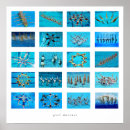 Search for synchronized art Swim team