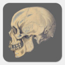 Search for skull illustration stickers Cute