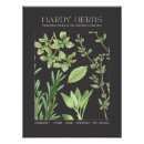 Search for vintage herb posters Garden