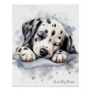 Search for cute dalmatian puppy posters Dog